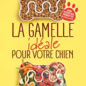 La gamelle idéale pour votre chien