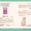 La gamelle idéale pour votre chien – Image 2